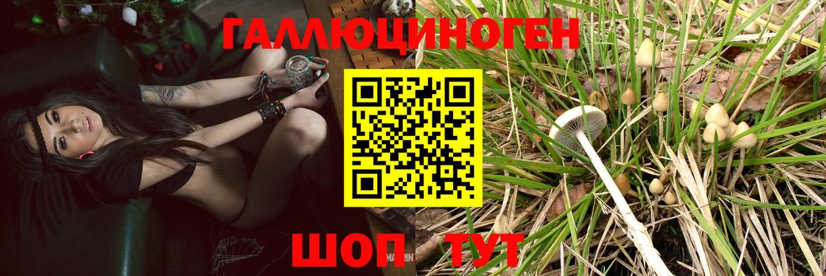 Галлюциногенные грибы Magic Shrooms  Вход с VPN  Каменск-Шахтинский 
