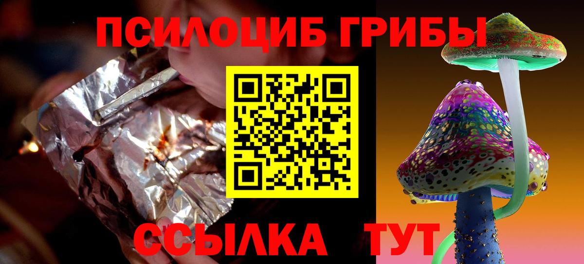 Псилоцибиновые грибы Psilocybine cubensis Каменск-Шахтинский